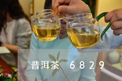 普洱茶 6829/2023041201593